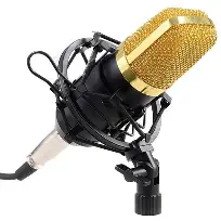 Professional Condenser Mic 2